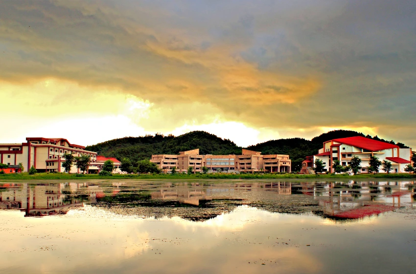 Galeri 2